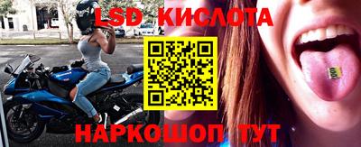 винт Заводоуковск