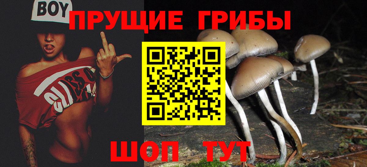 Мурманск  Галлюциногенные грибы Magic Shrooms  Галлюциногенные грибы GOLDEN TEACHER  Вход с VPN 
