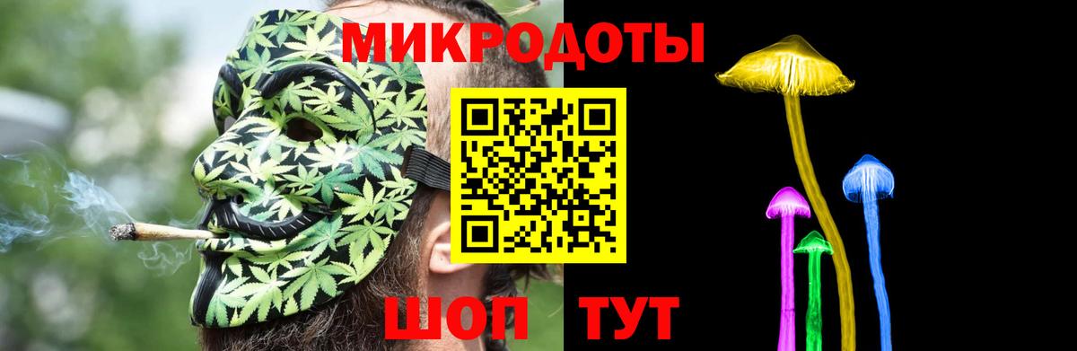 Псилоцибиновые грибы Psilocybe Мурманск
